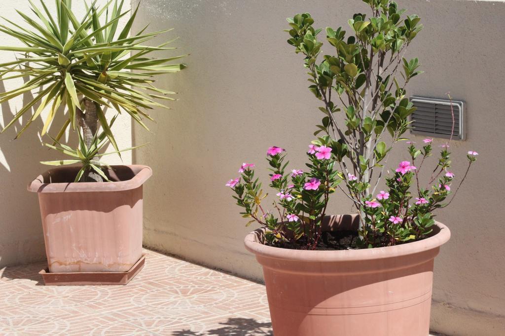 Rivotorto Retreat House Hotel Birkirkara Kültér fotó